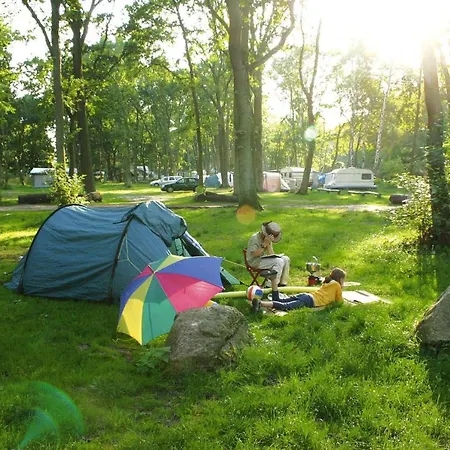 Holiday Village Müritzparadies Am Müritzufer - Dms02138-lyb Rechlin
